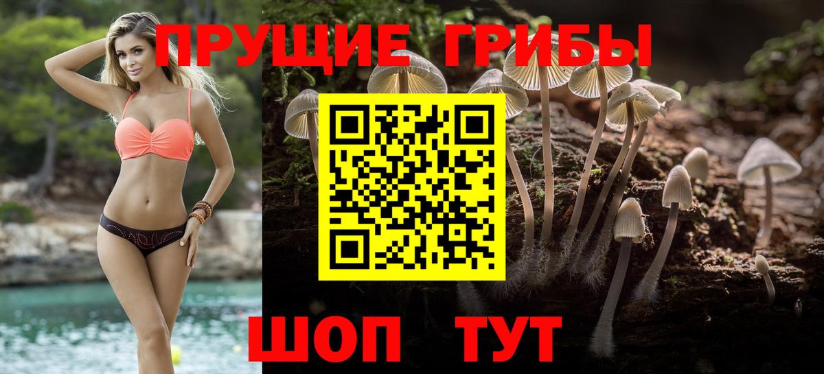 Псилоцибиновые грибы Psilocybine cubensis  Вход с VPN  Реж 