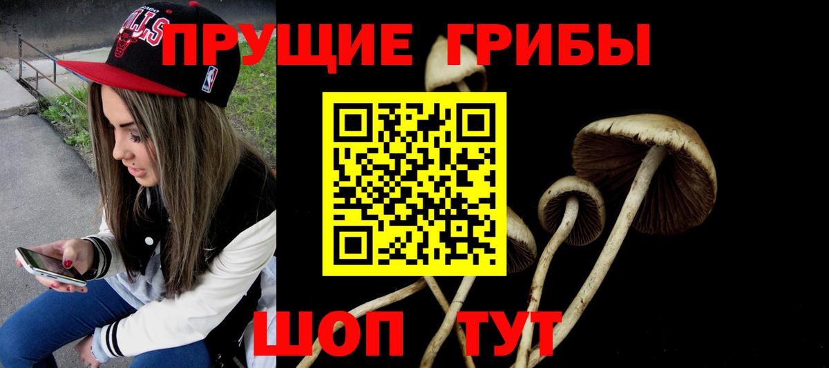 Галлюциногенные грибы MAGIC MUSHROOMS Реж